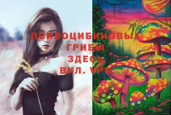 эйфоретик Горно-Алтайск