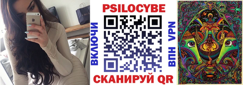 купить Елец ОМГ ОМГ вход Псилоцибиновые грибы мухоморы