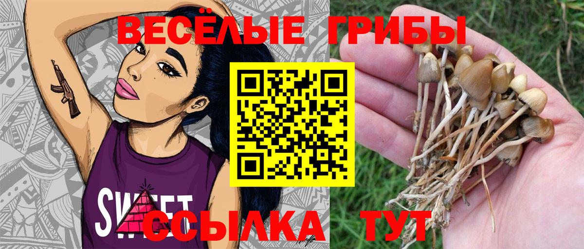 Галлюциногенные грибы GOLDEN TEACHER Елец
