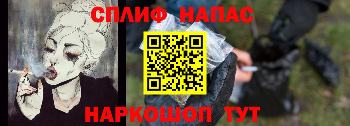 Бошки Шишки MAZAR Елец